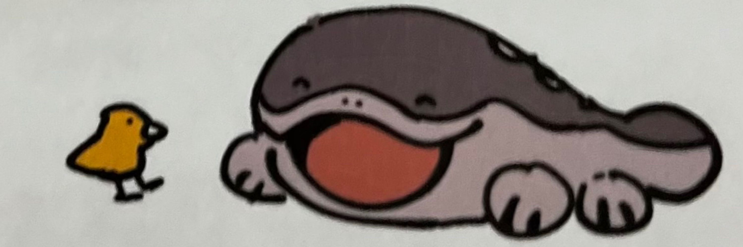 こーちん