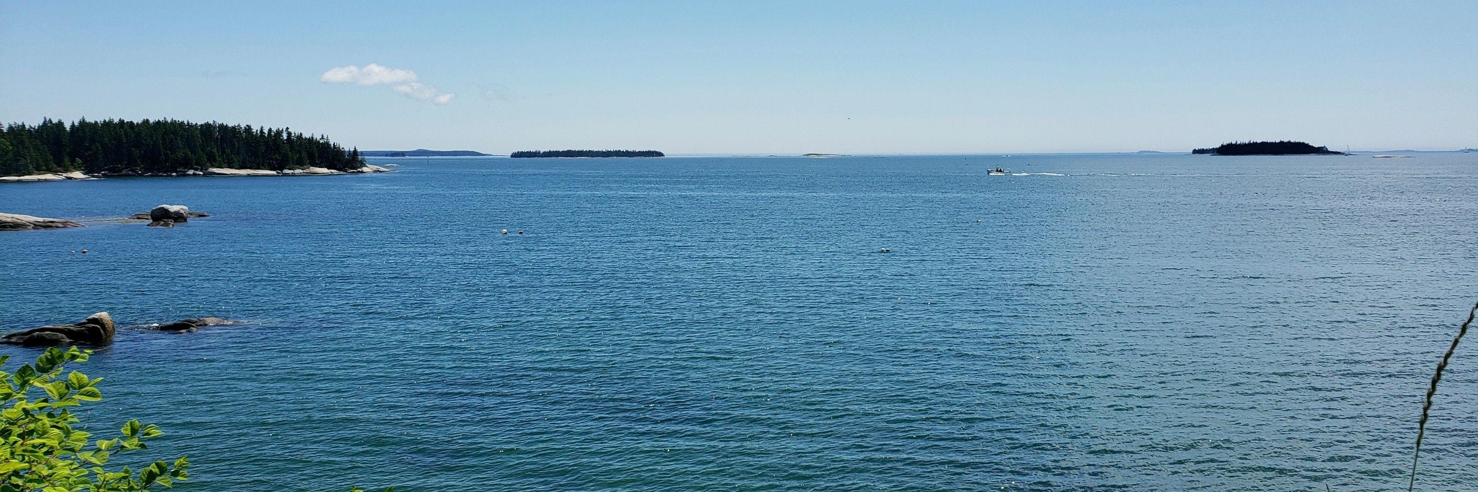 Seawolf