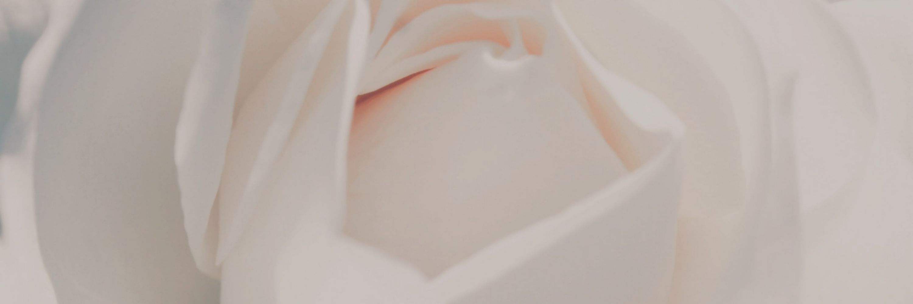 ａ