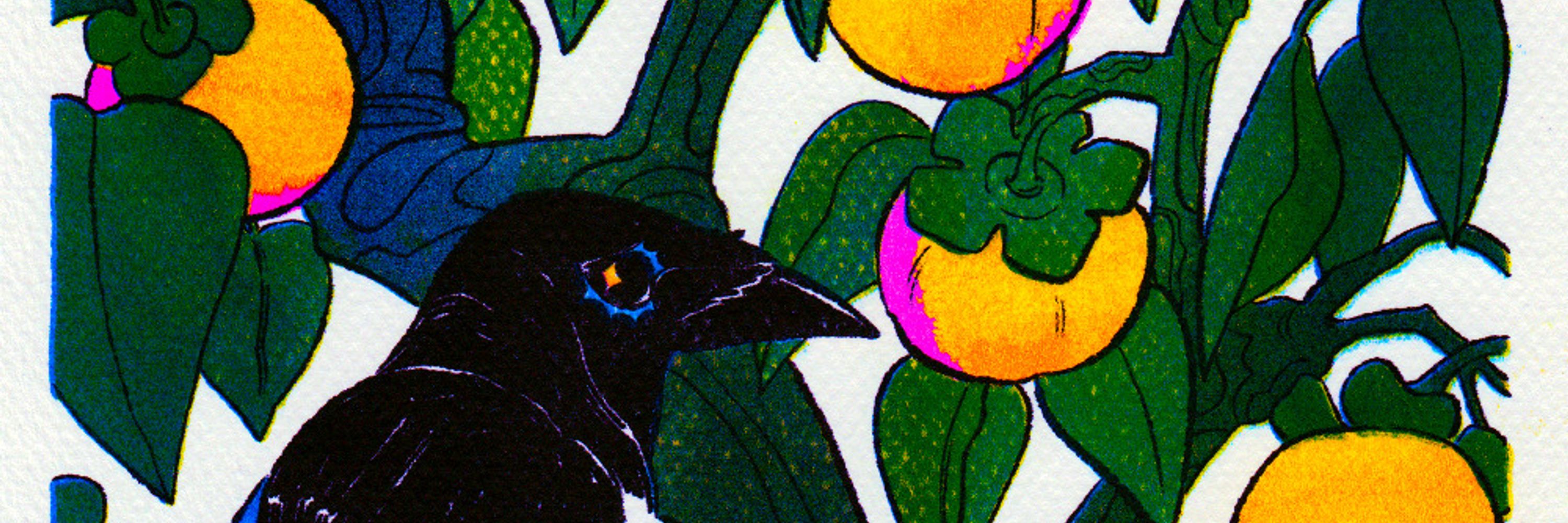raven