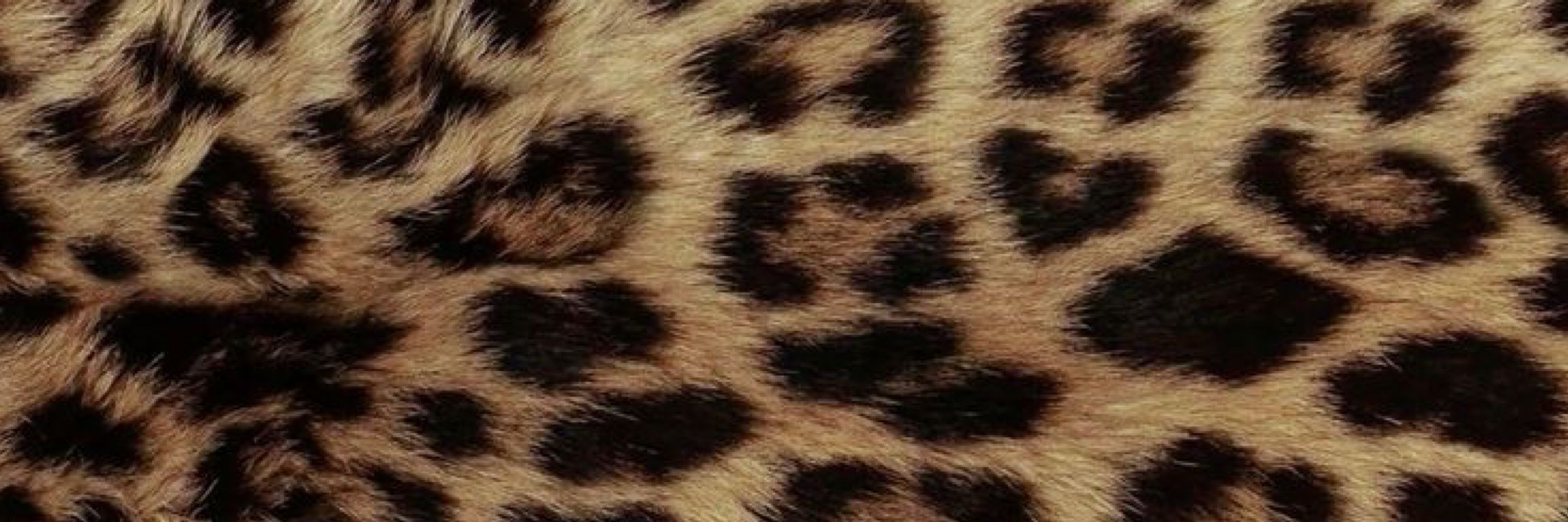 Maria 🐆