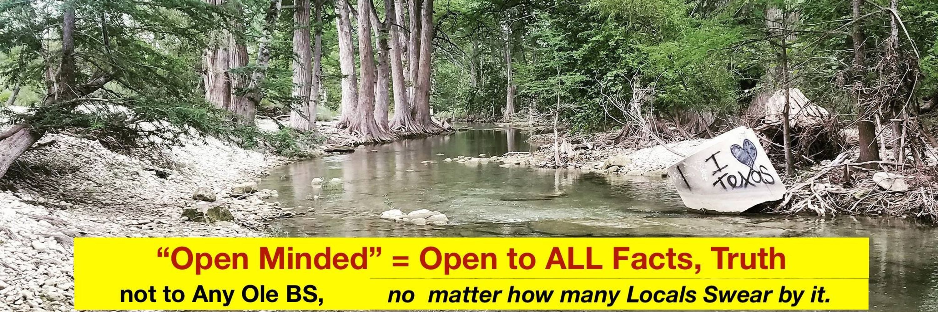 Open Minded Texans