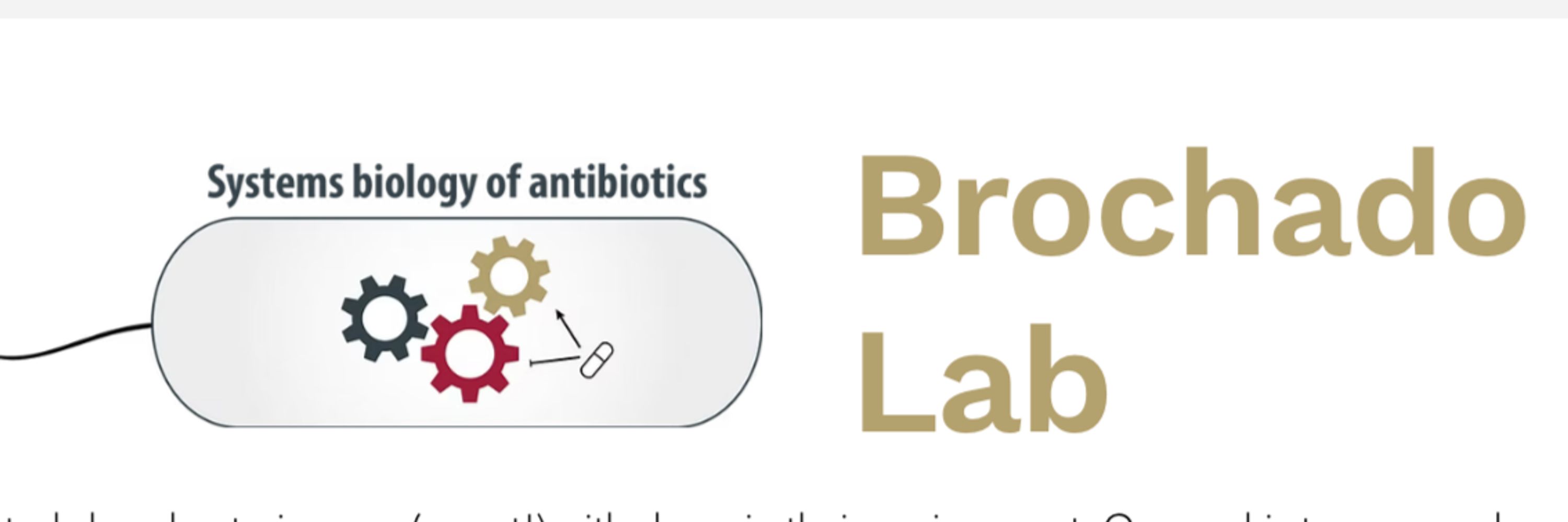 Brochado Lab