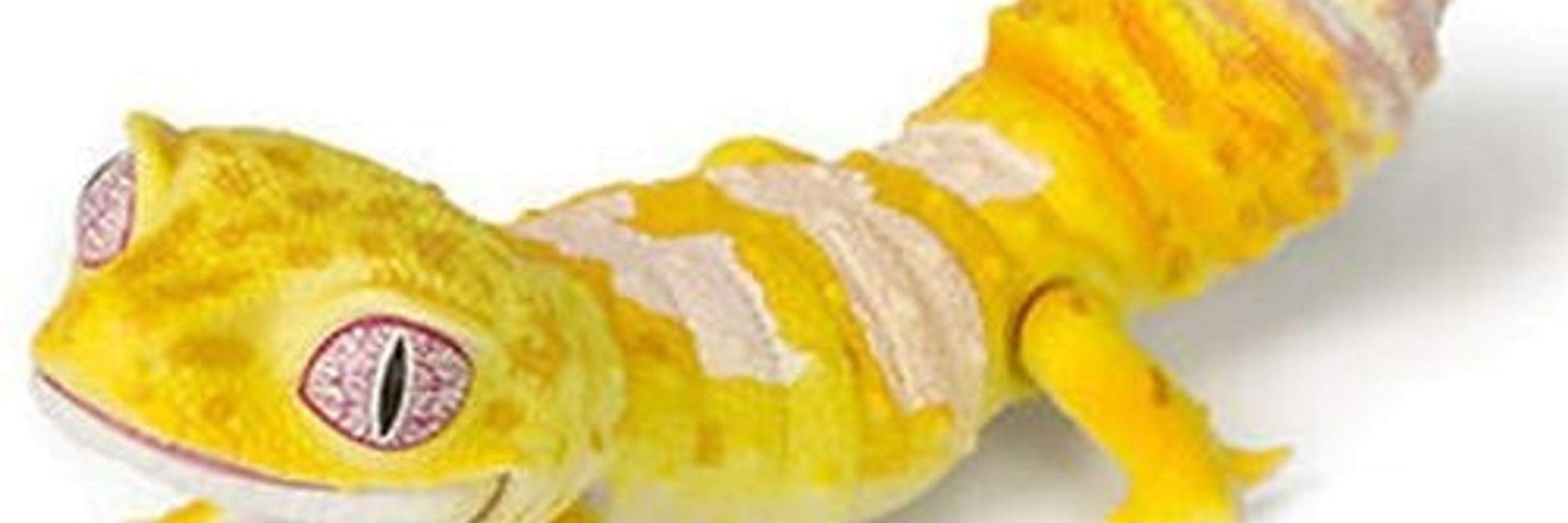 liu