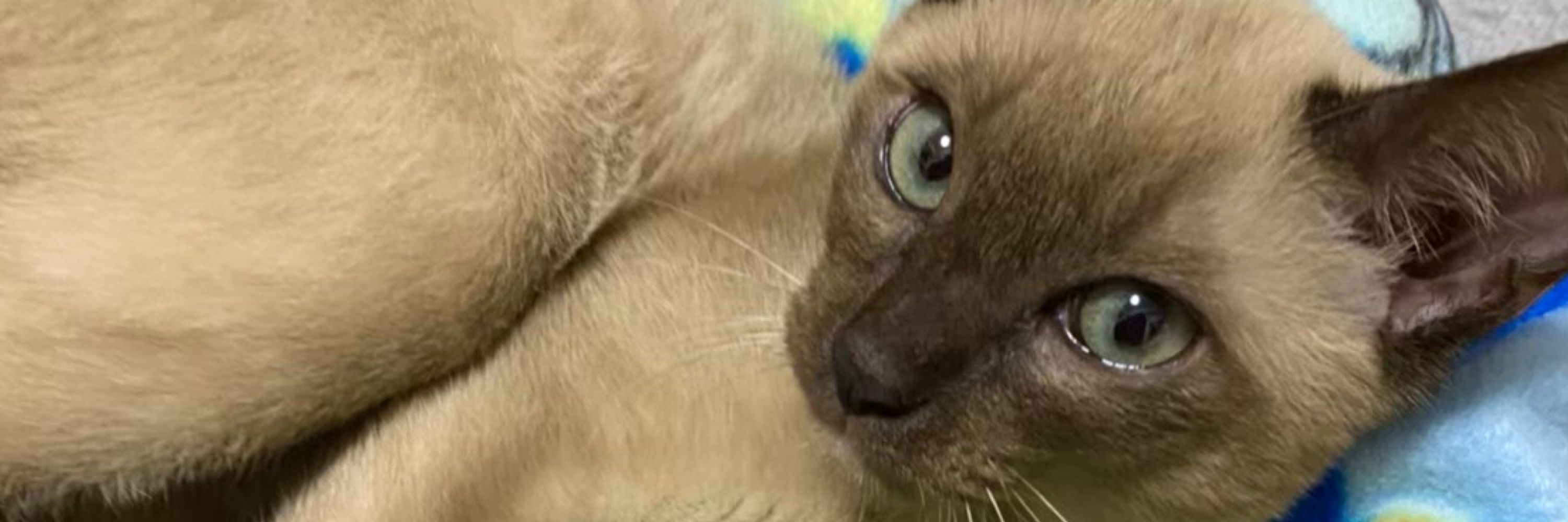 海(kai)🐈‍⬛🐾