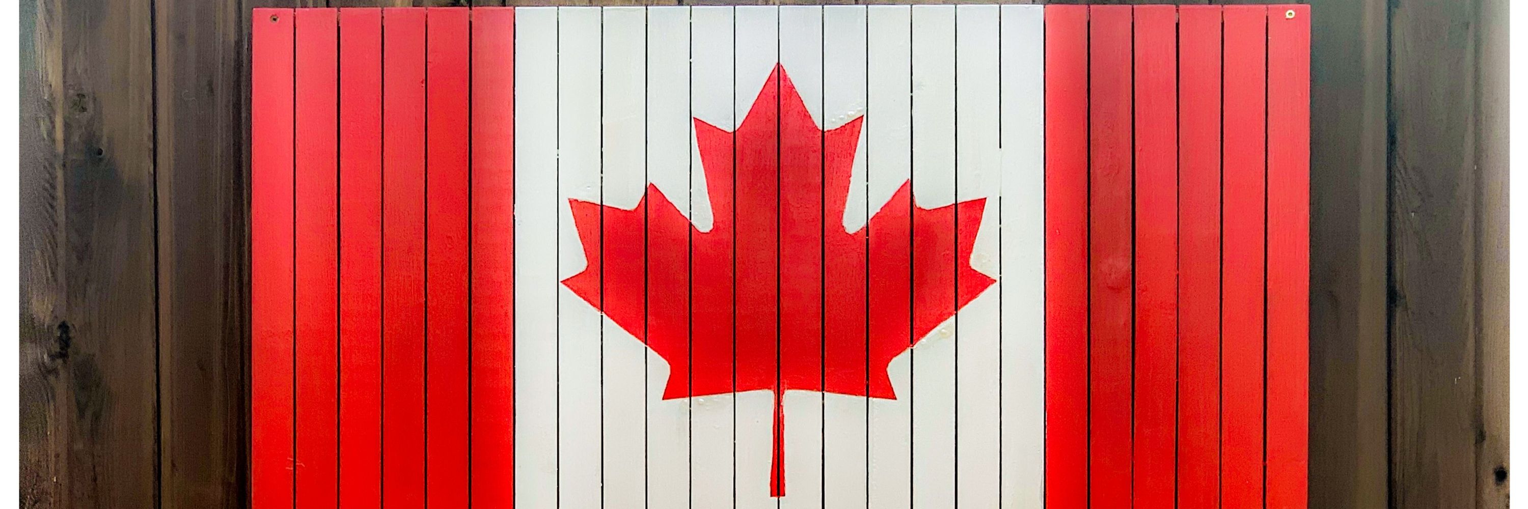 🇨🇦LeisaBC