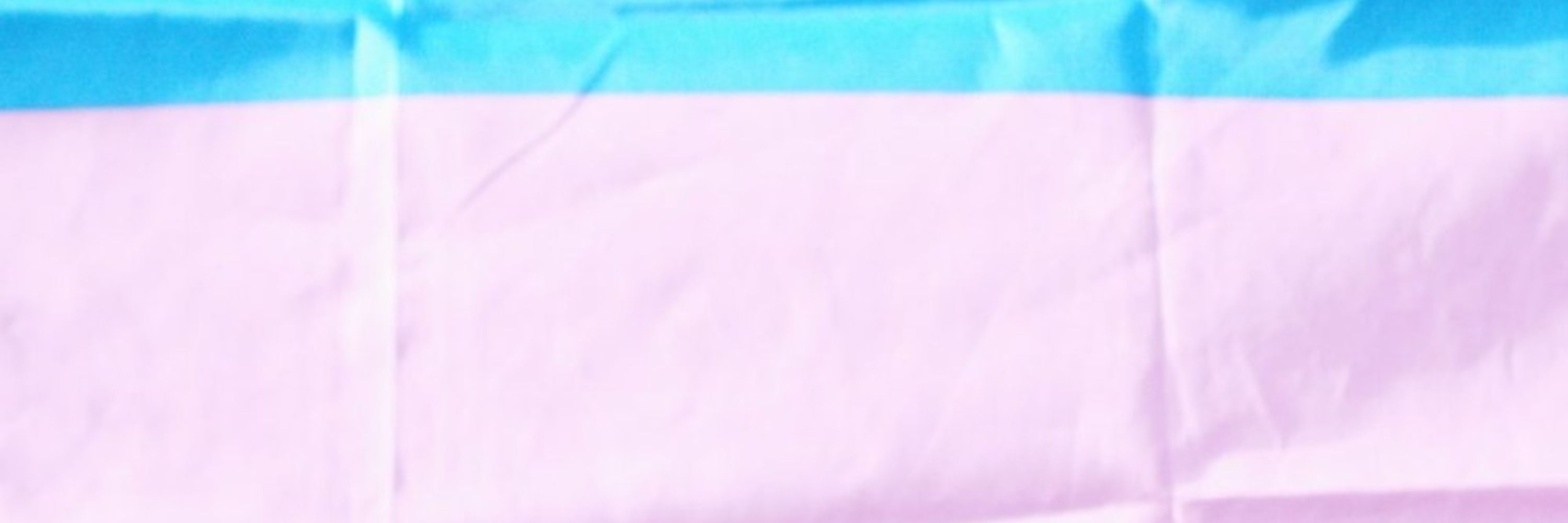 ShiniG-Amy (′ꈍωꈍ‵) Ꚙ Not CIS