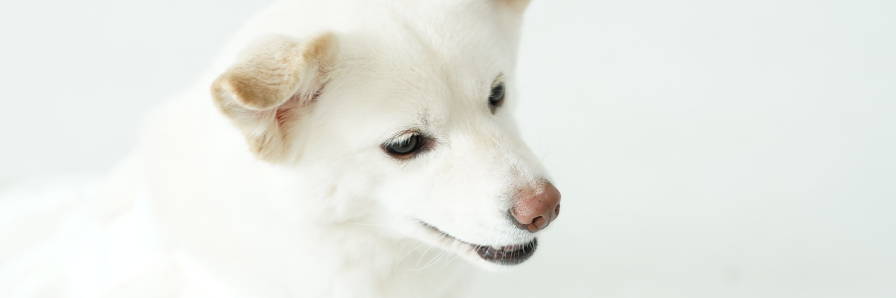 우민