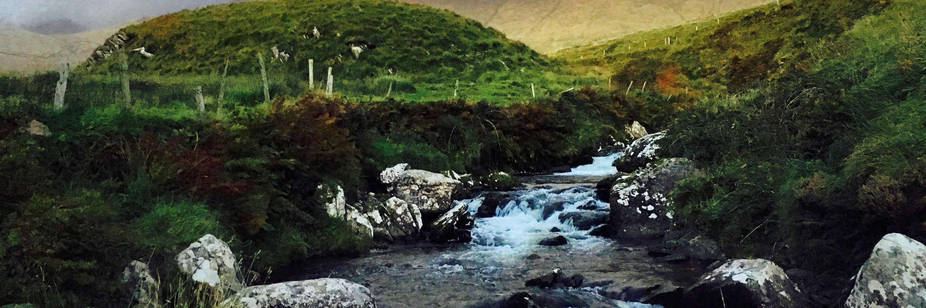 Maria Caitriona Larkin