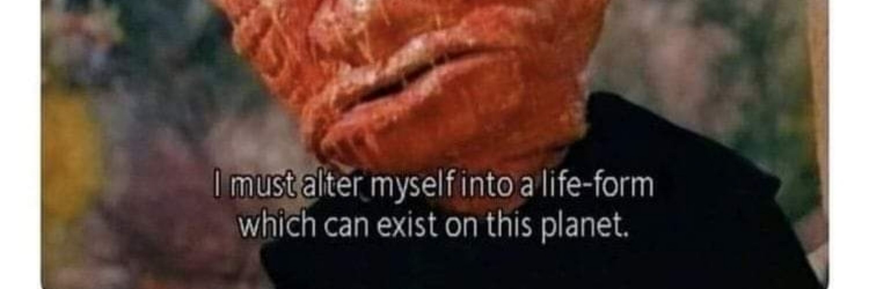 𝙺𝚎𝚗𝚗𝚎𝚛