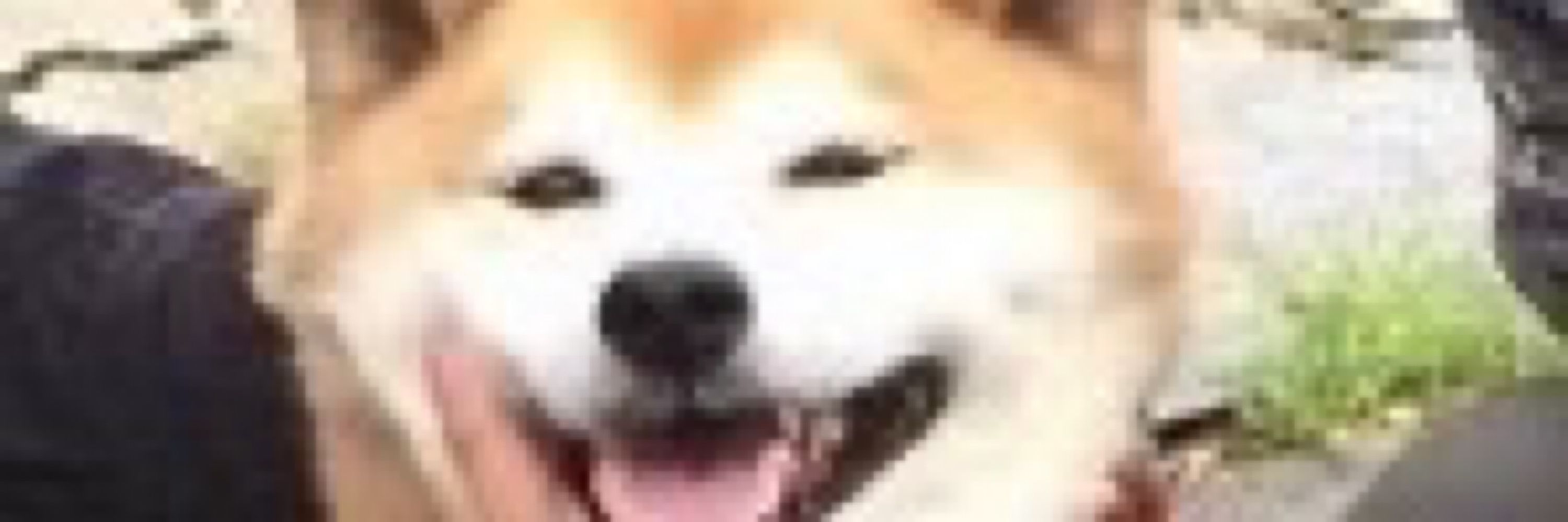 🍑🐕