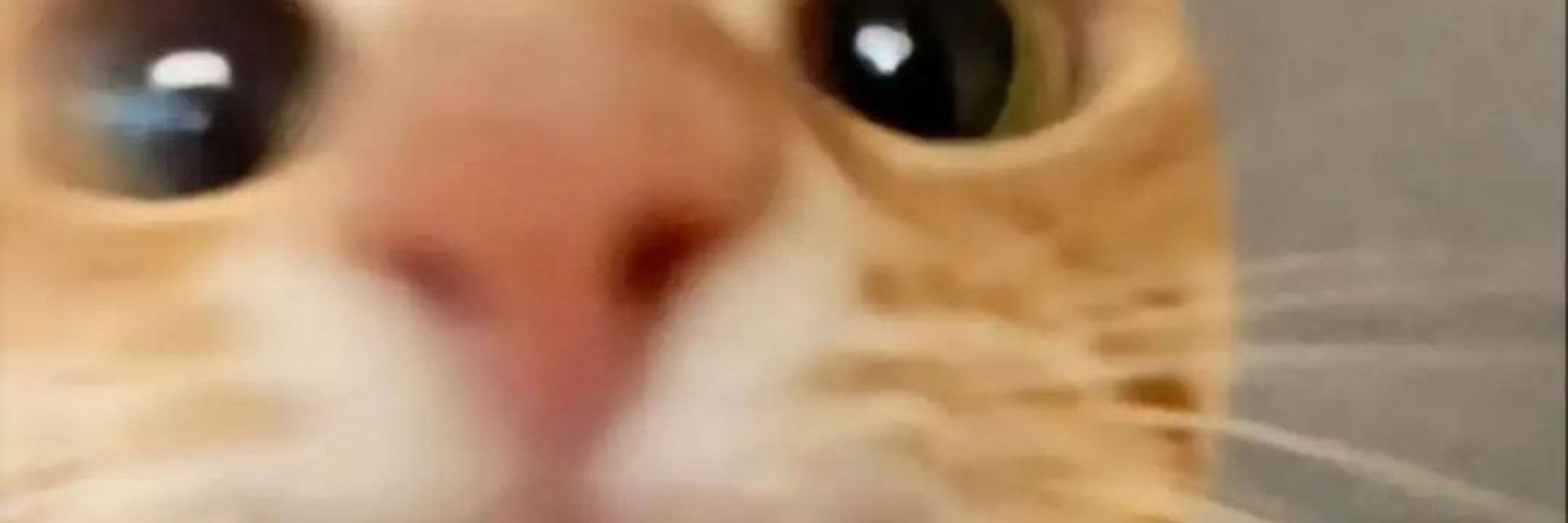 luca