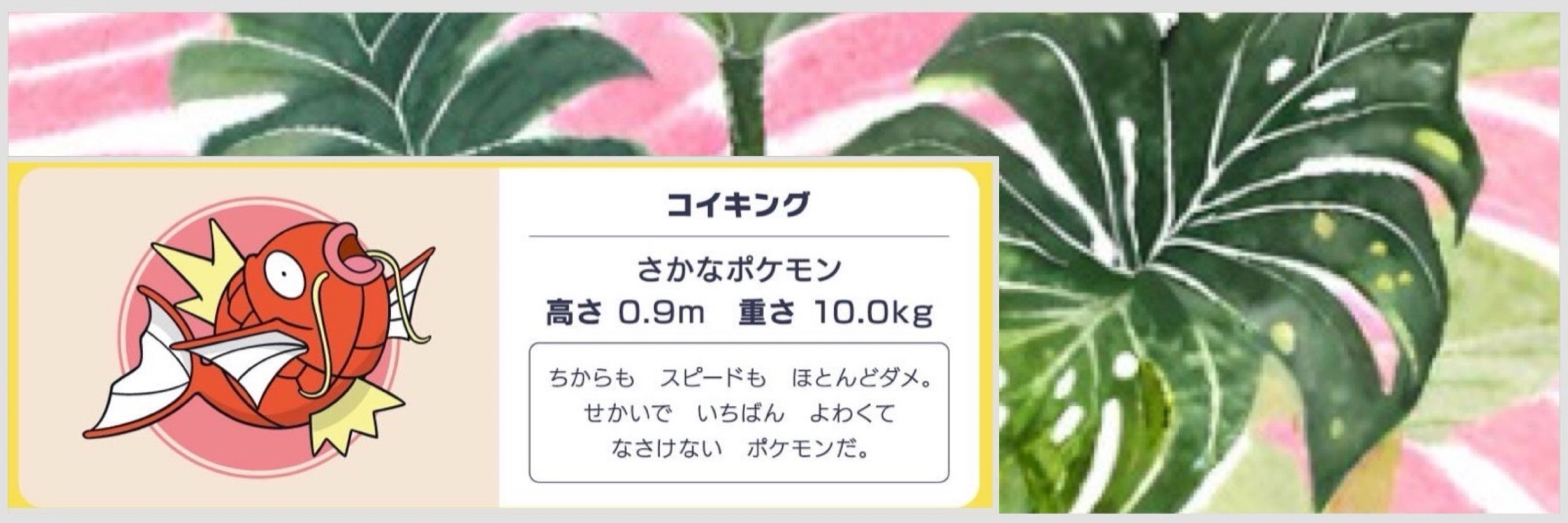 パーム