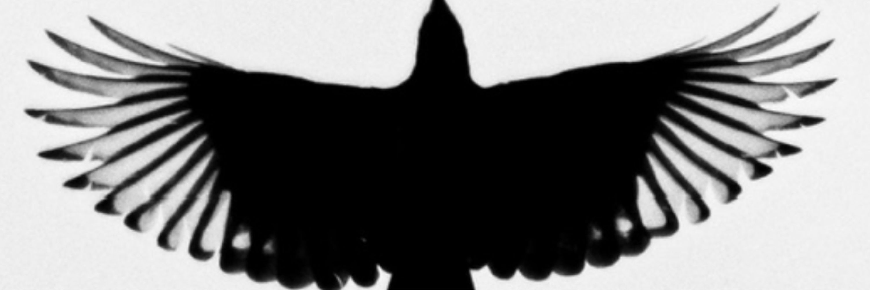 Corax Vox - Queer Vampires/Werewolves 🔞