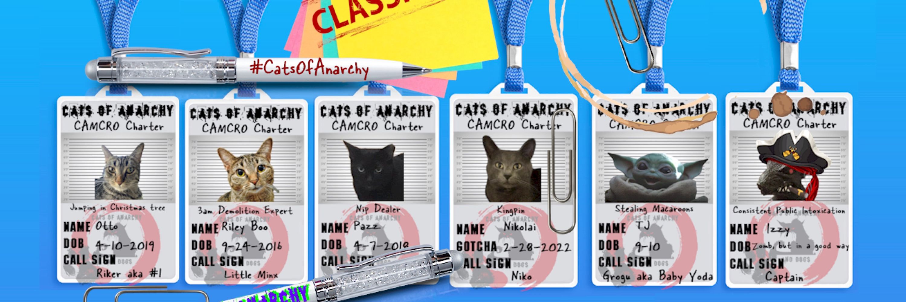 Cats Of Anarchy