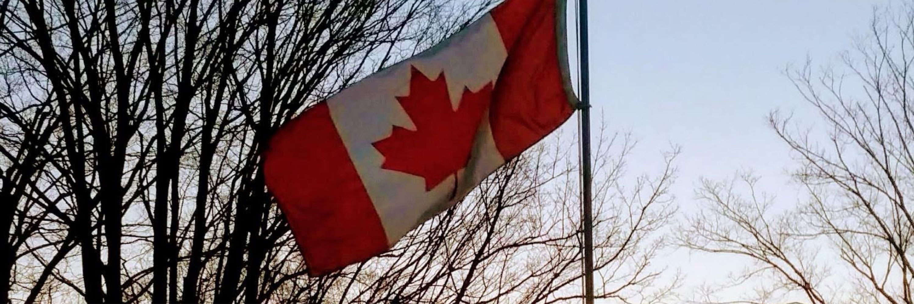 Always hopeful 🇨🇦