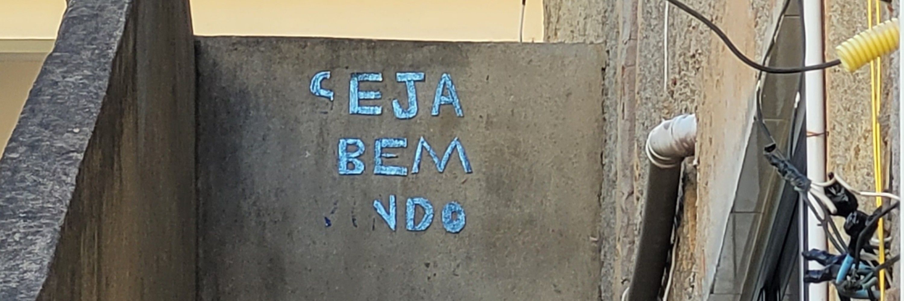 oliveiragrazi__