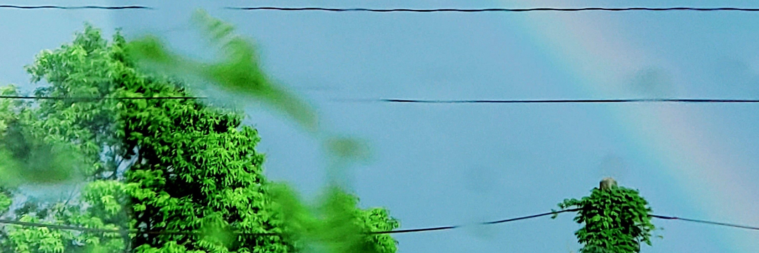 空渡