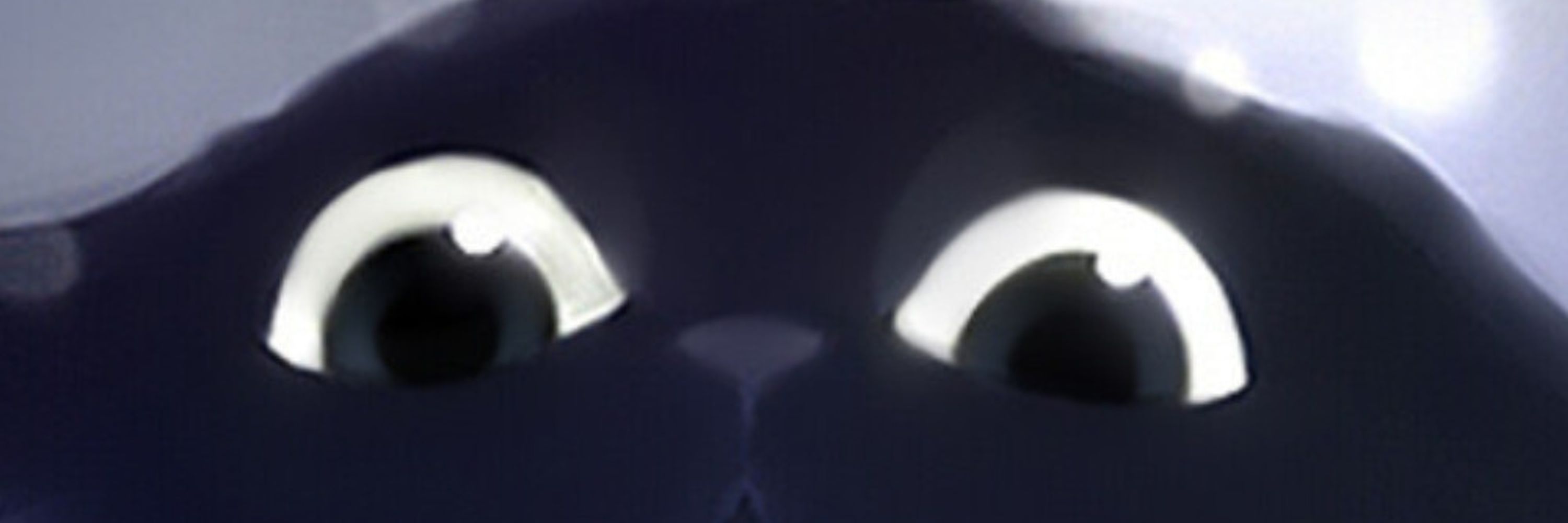 Risu