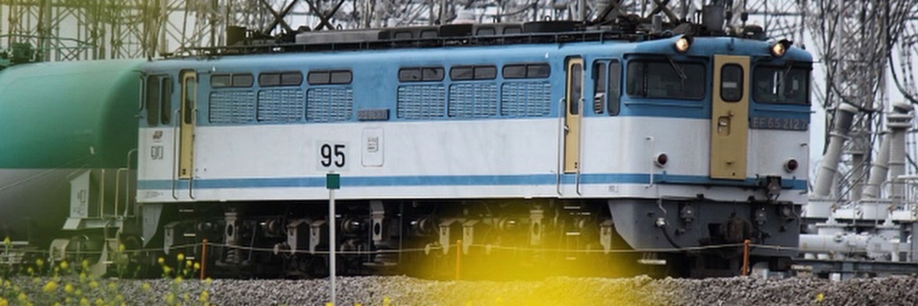 sakura165