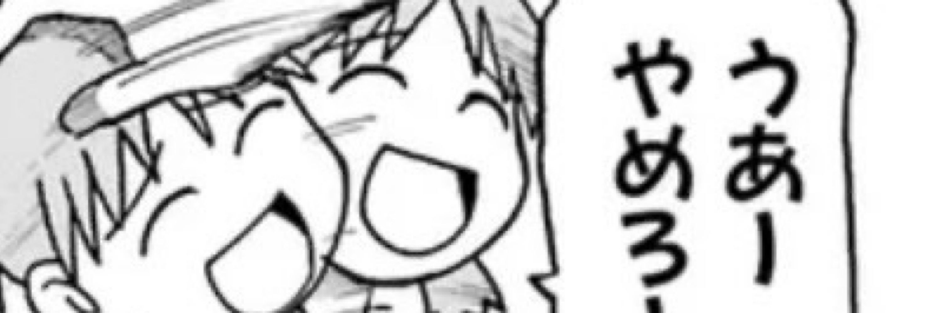 シーランド公国のMEMちょ