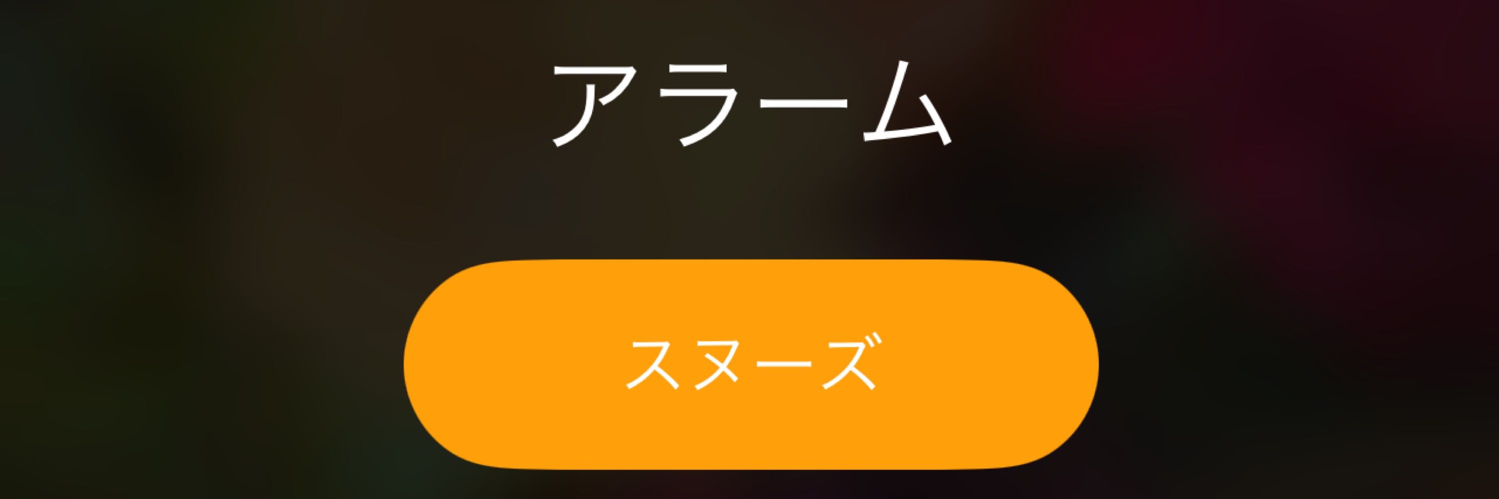 ちゃんしま🦍