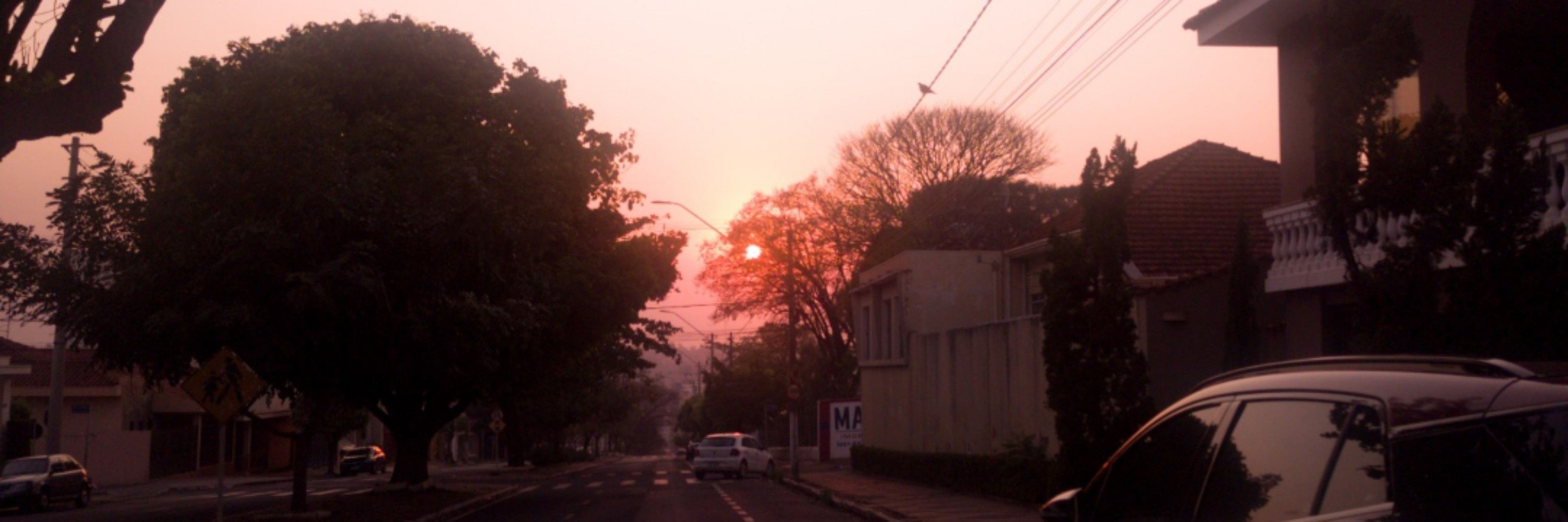 Cachinhos 