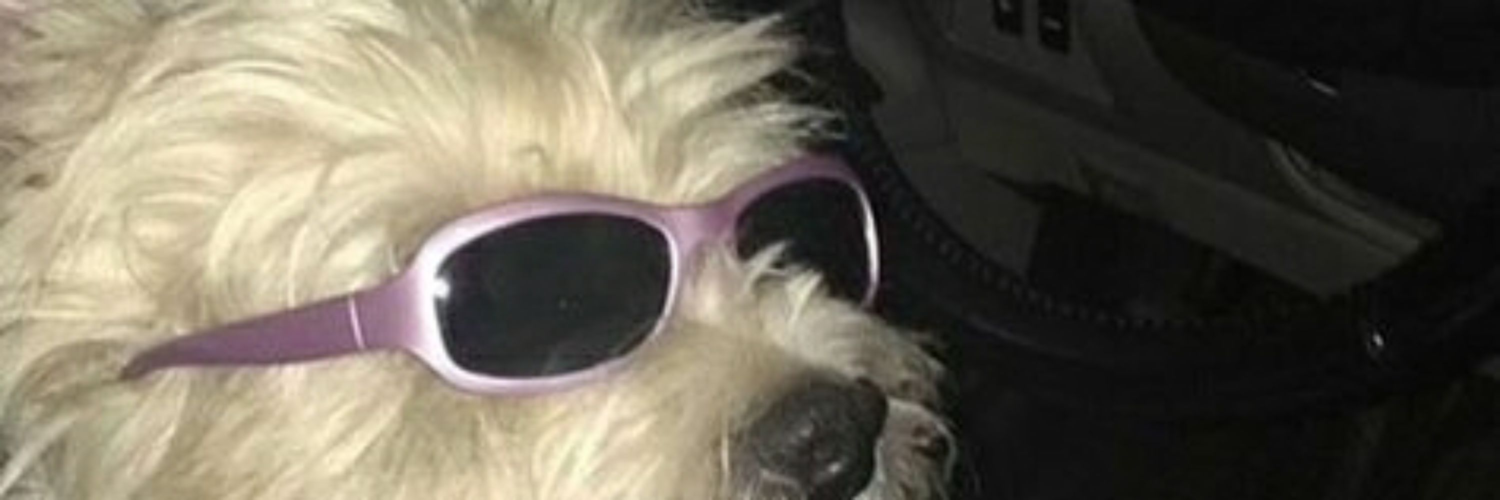 Calma ai vida