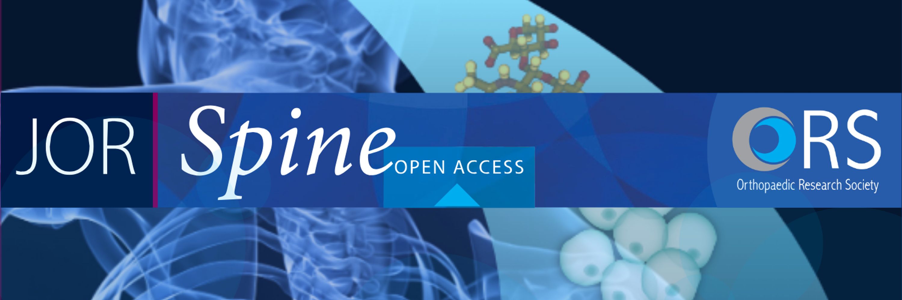 Journal of Orthopaedic Research - Spine®