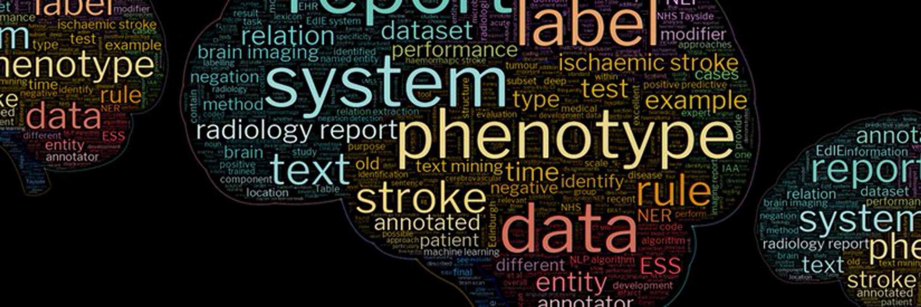 Edinburgh Clinical NLP Group
