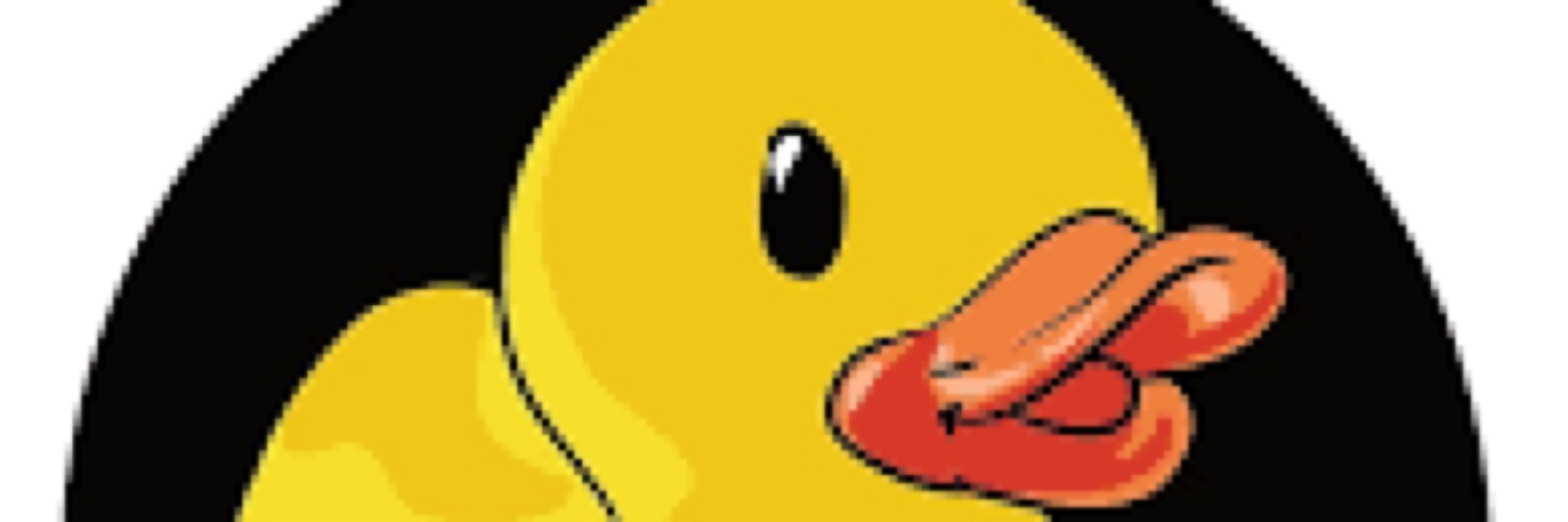 Ducky 🦆