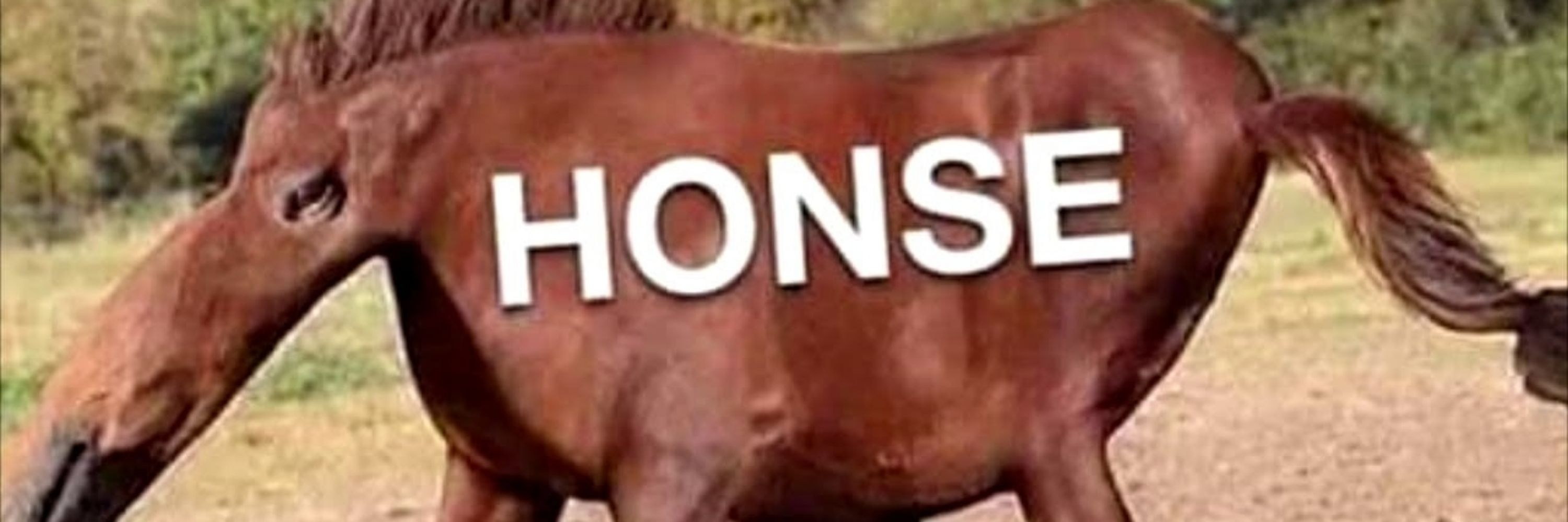Bjorn