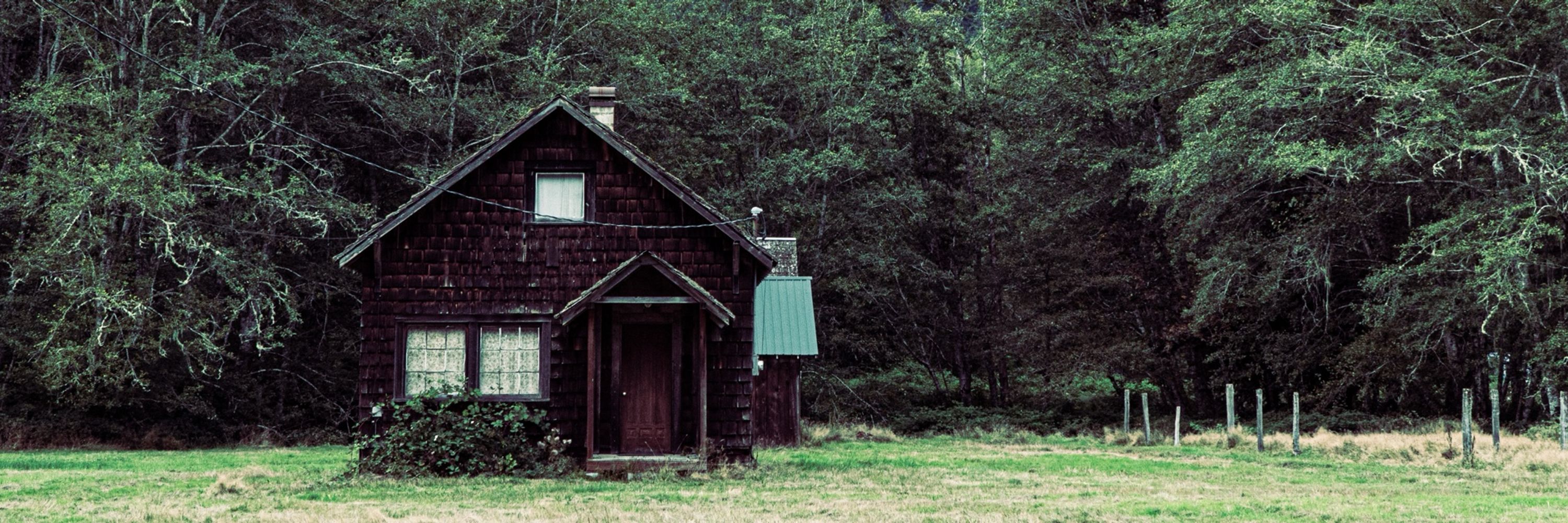 Steven Rogus Photography