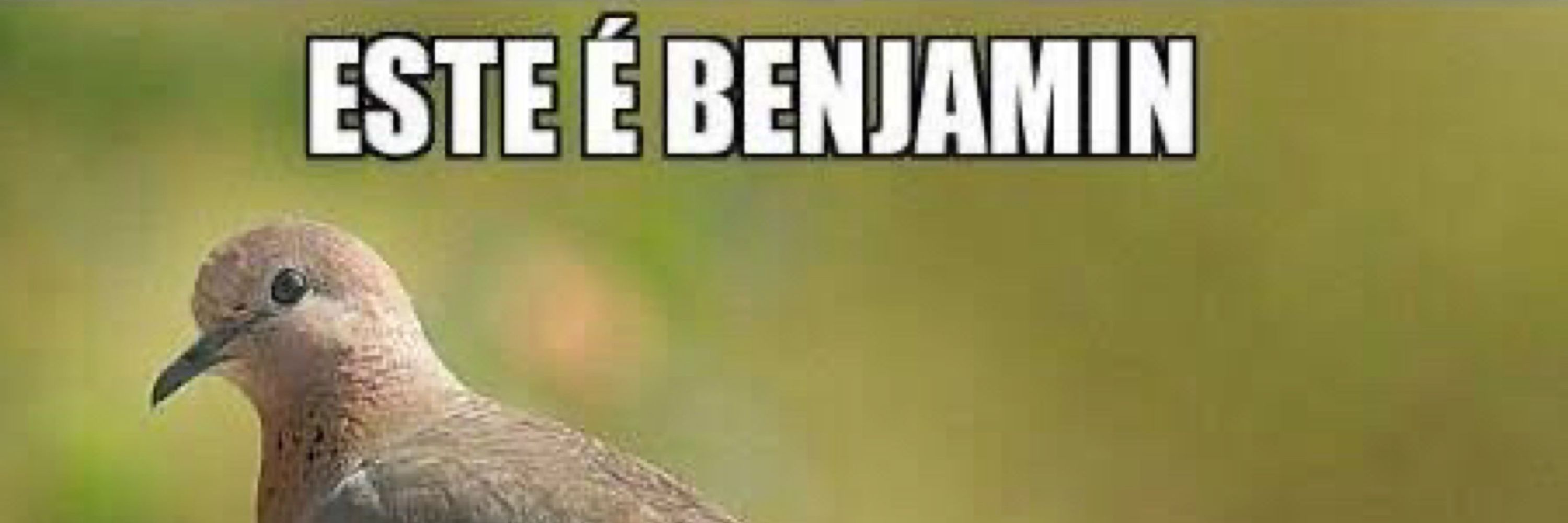 father is