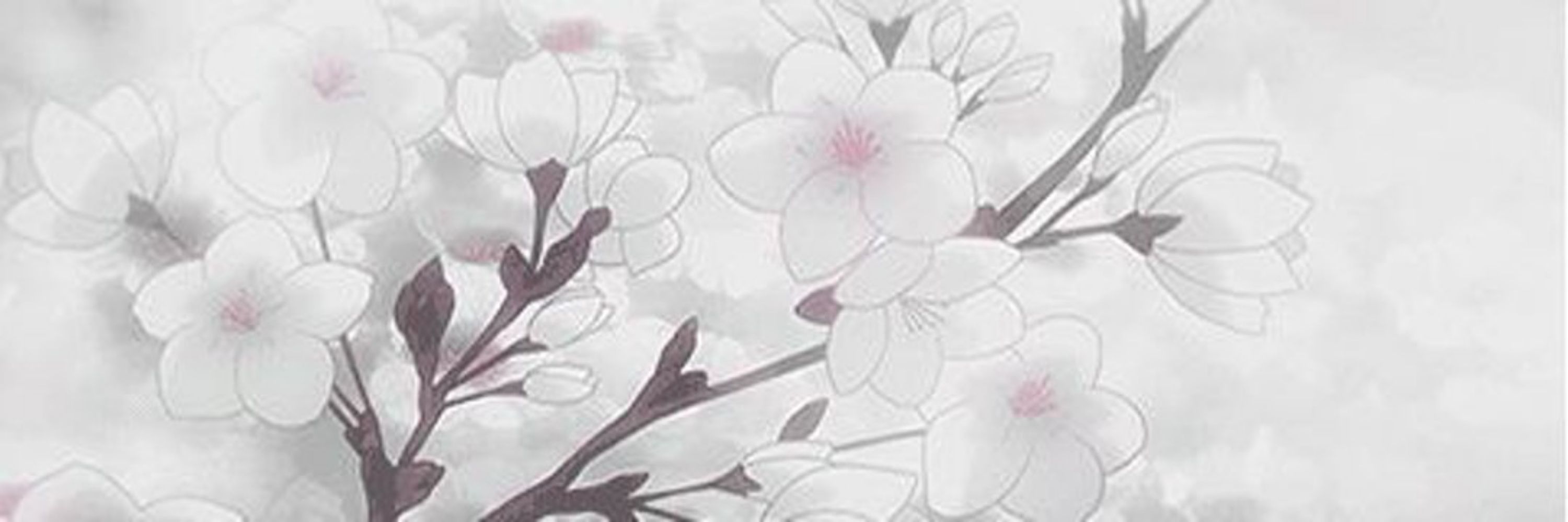 春野ゆき