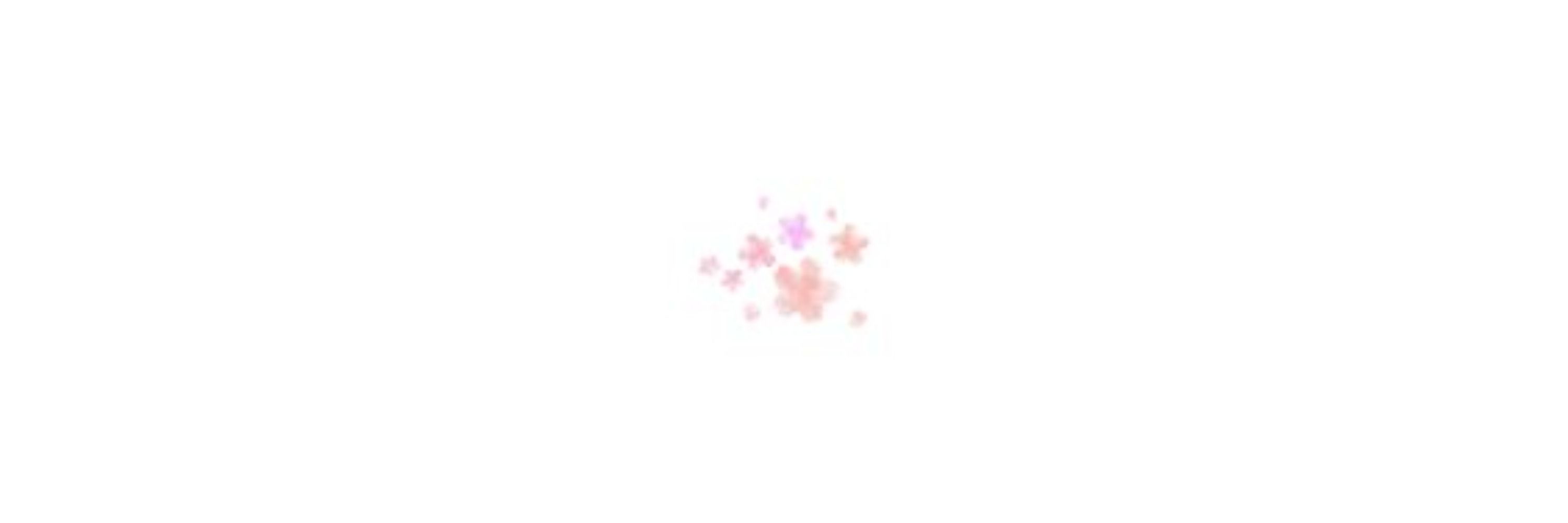 𝐋𝐨𝐭𝐭𝐢𝐞. (hiatus)