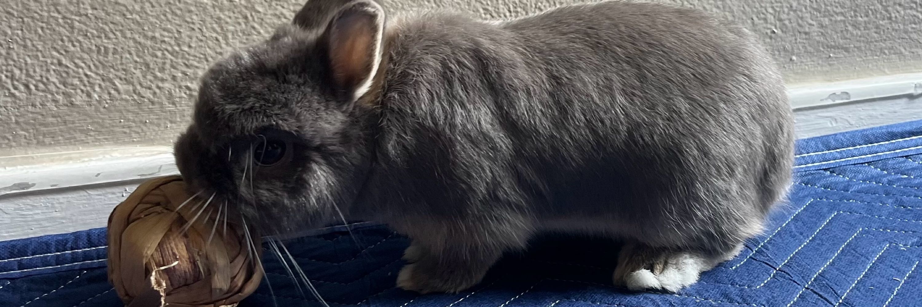 frobunnius