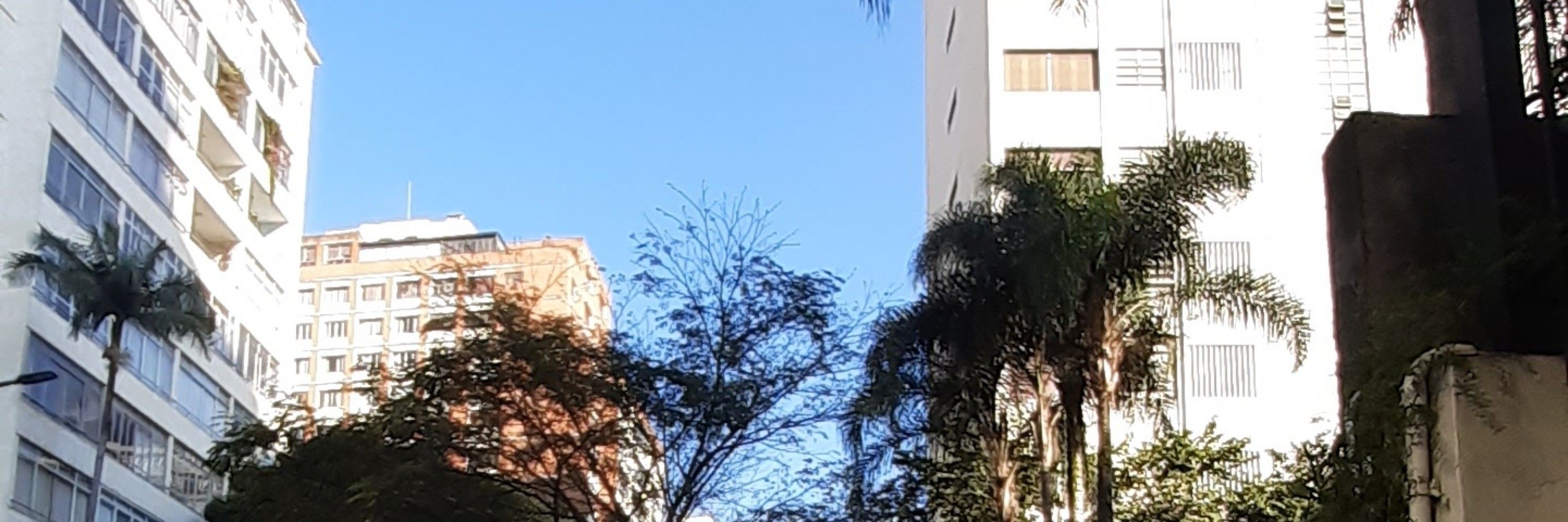 Pedro