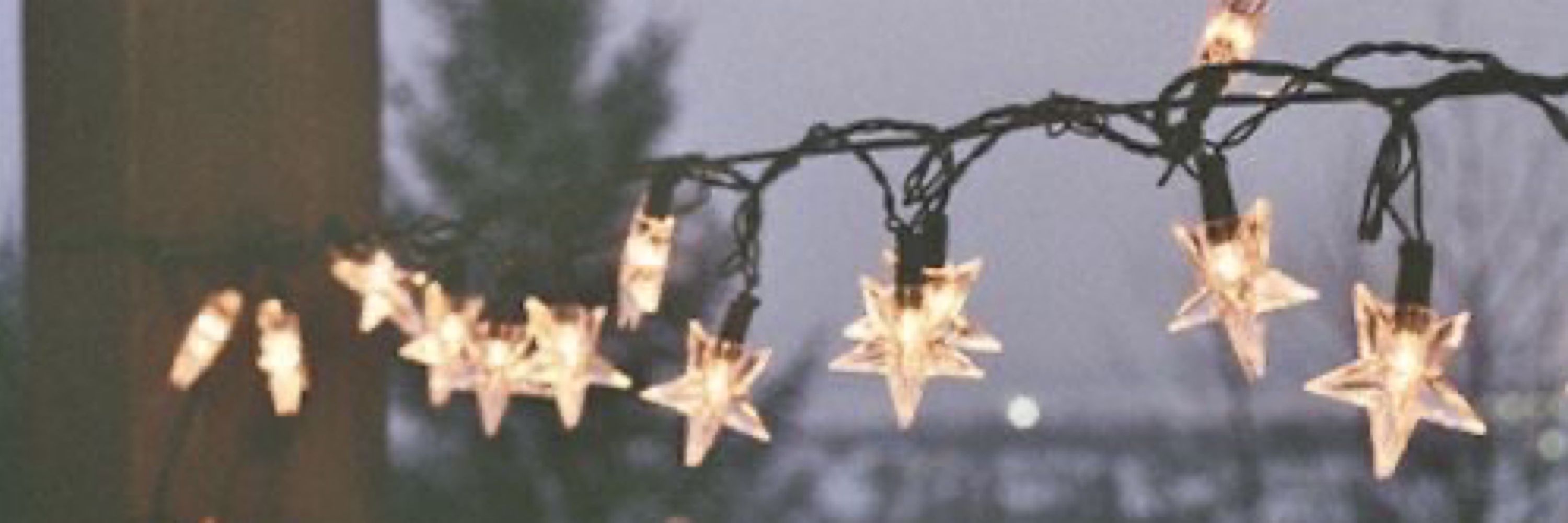 StarryVesper