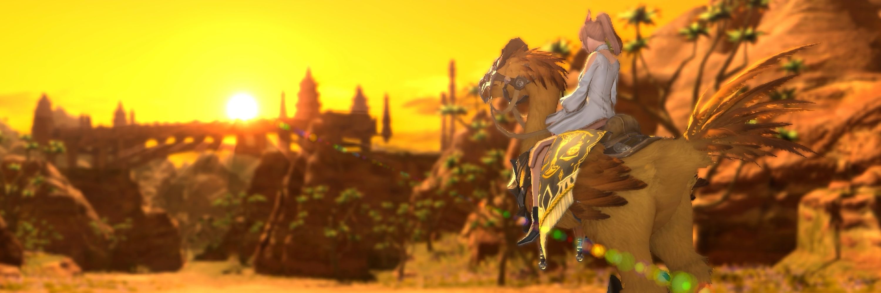ʀᴀʏᴀʟɪᴄᴇ 🐈🐈‍⬛