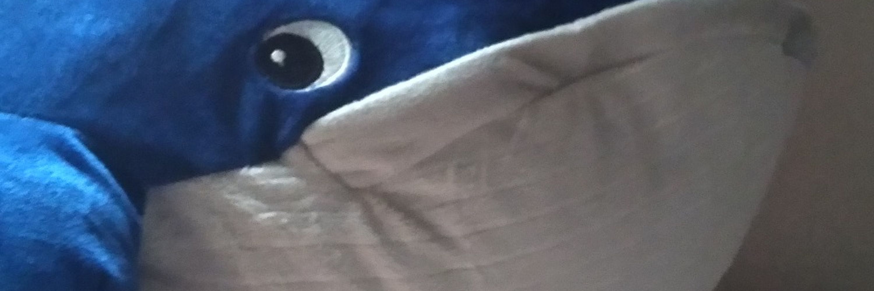 Ana