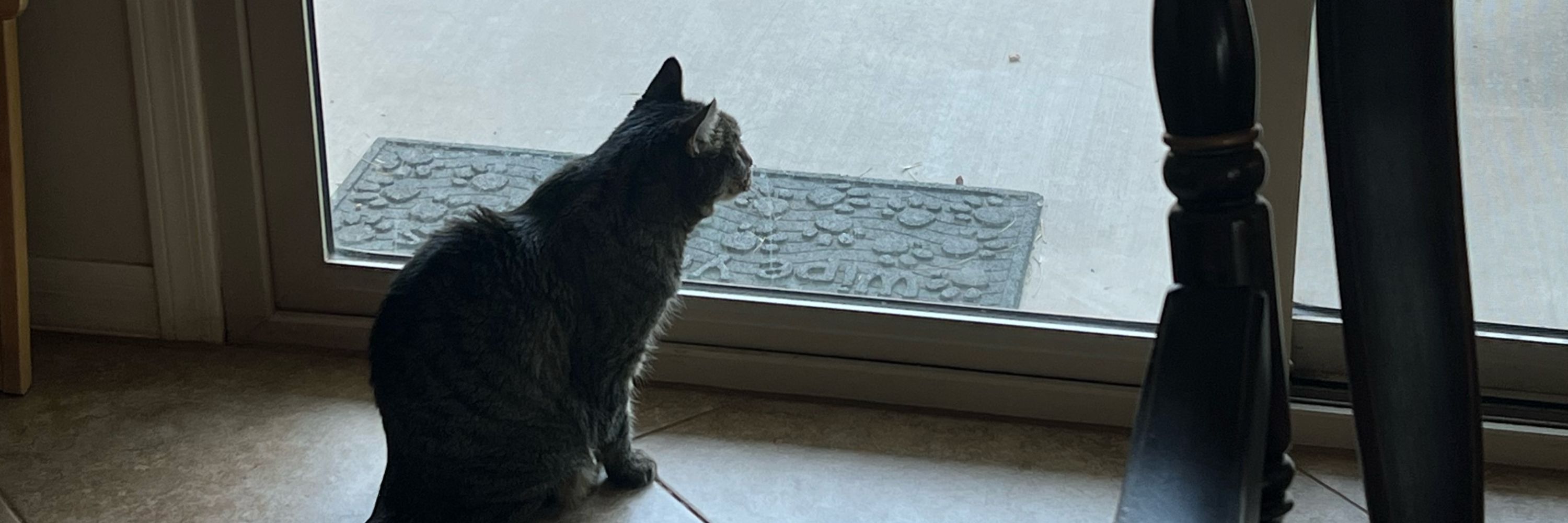 Paula and Ripley