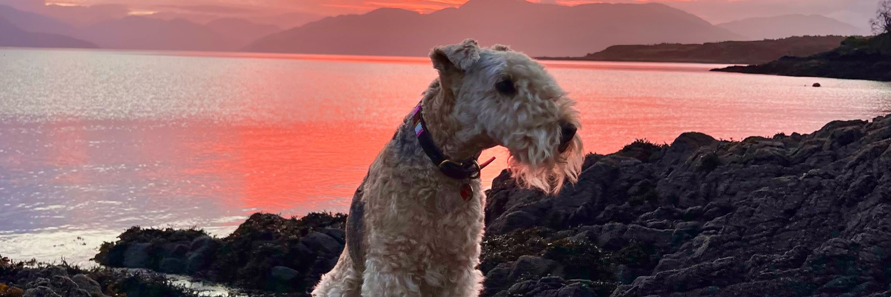 Bertie Lakeland