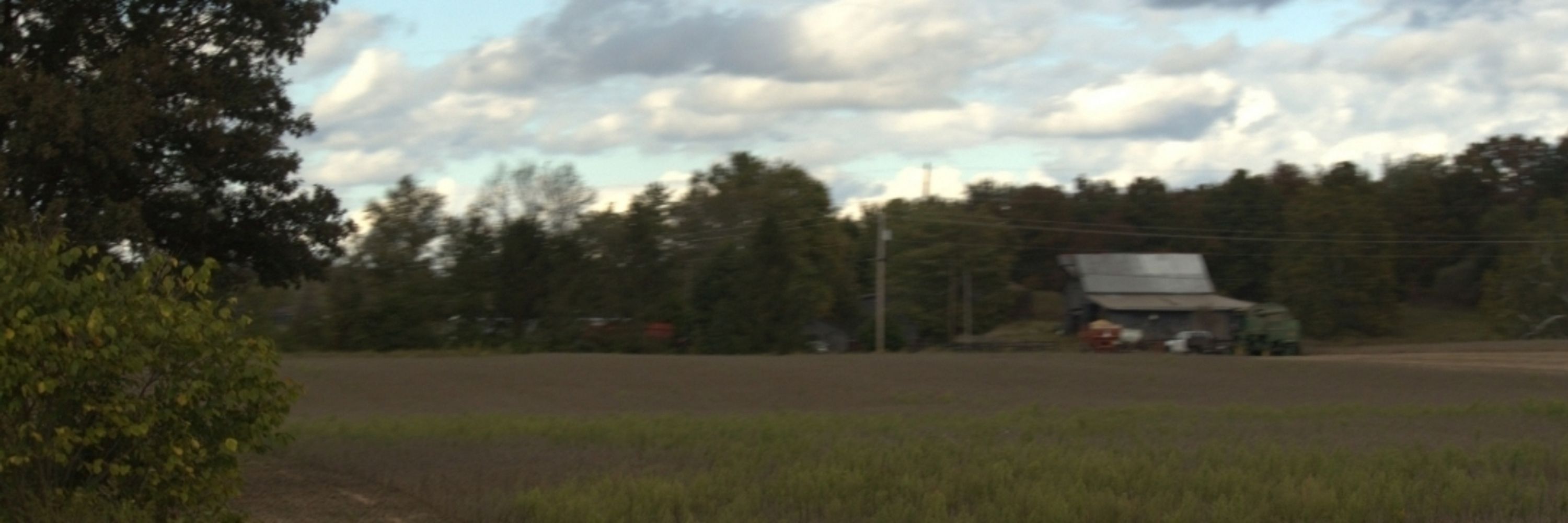 eli