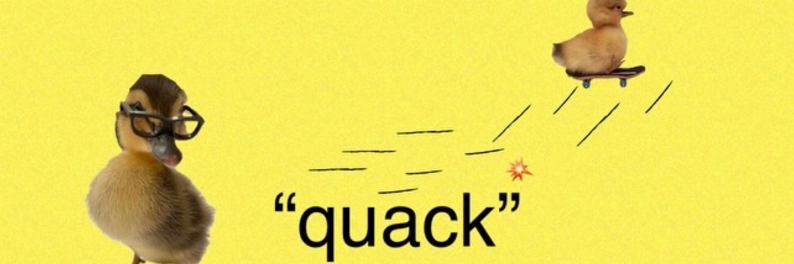 Duck
