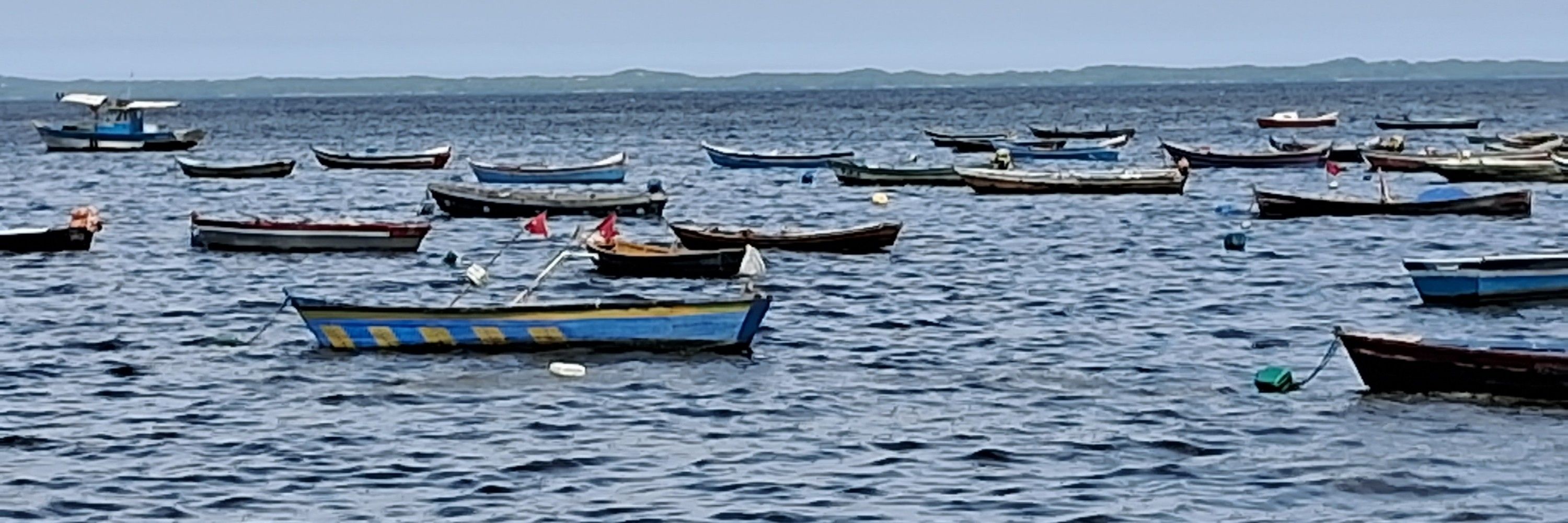 Zeh Carlos Carl 