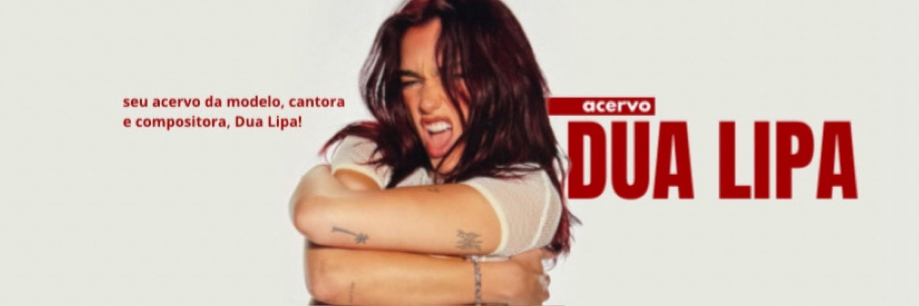 acervo dua lipa 