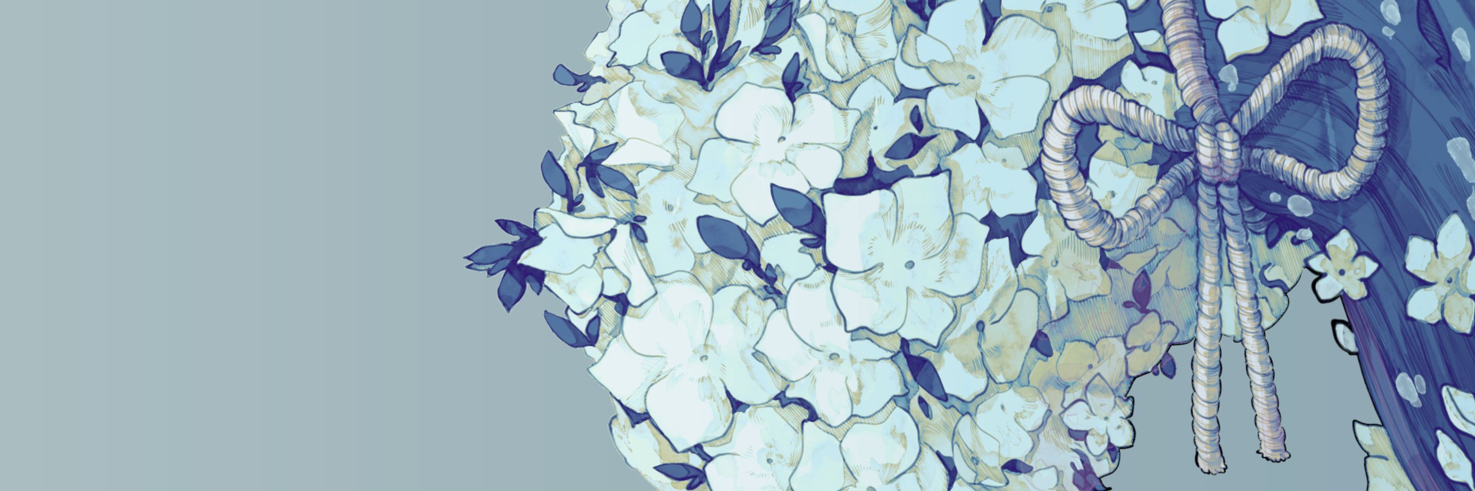 blu phlox