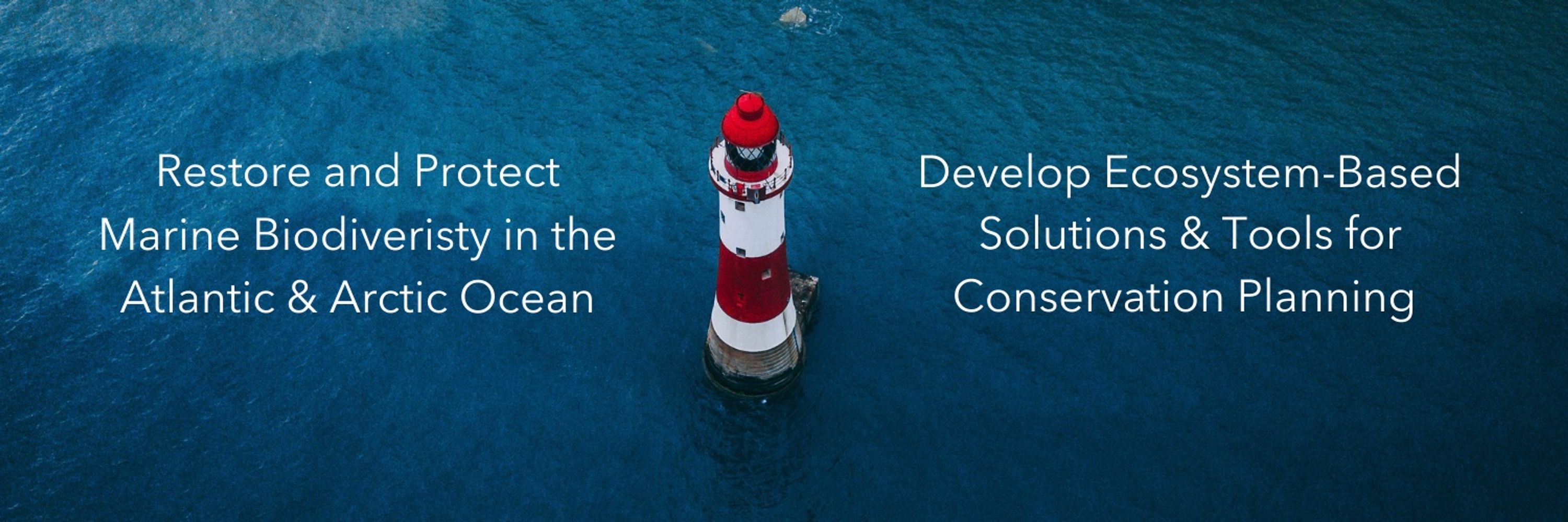 BioProtect Project