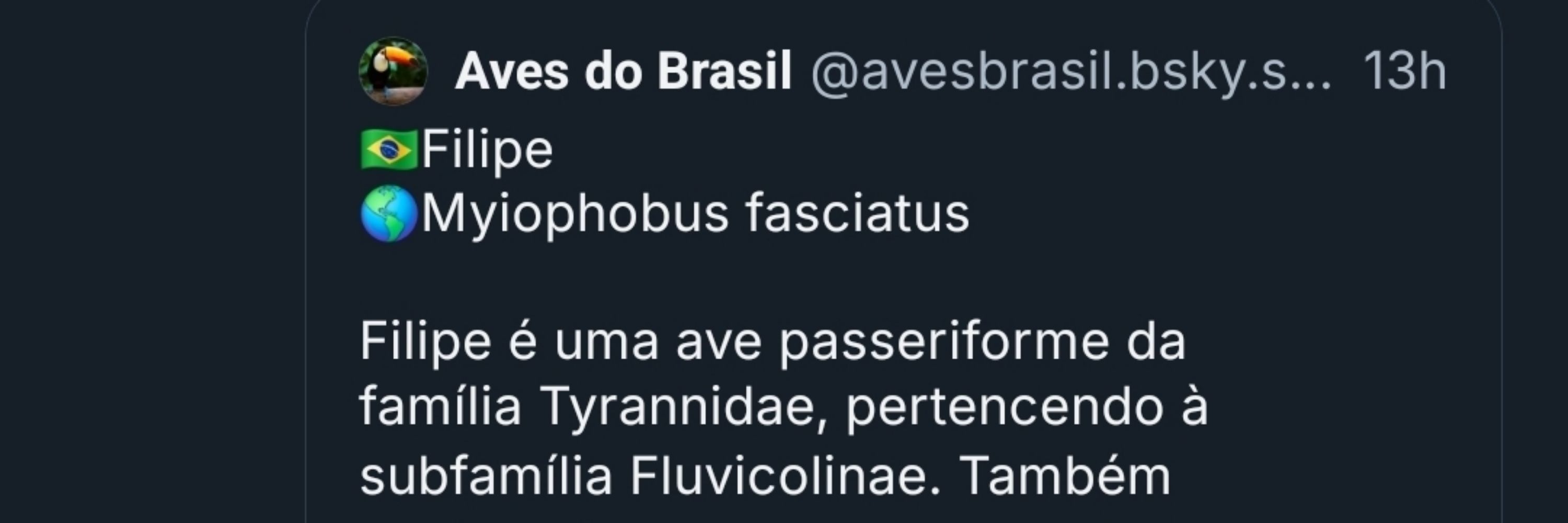 Passarinho Filipe